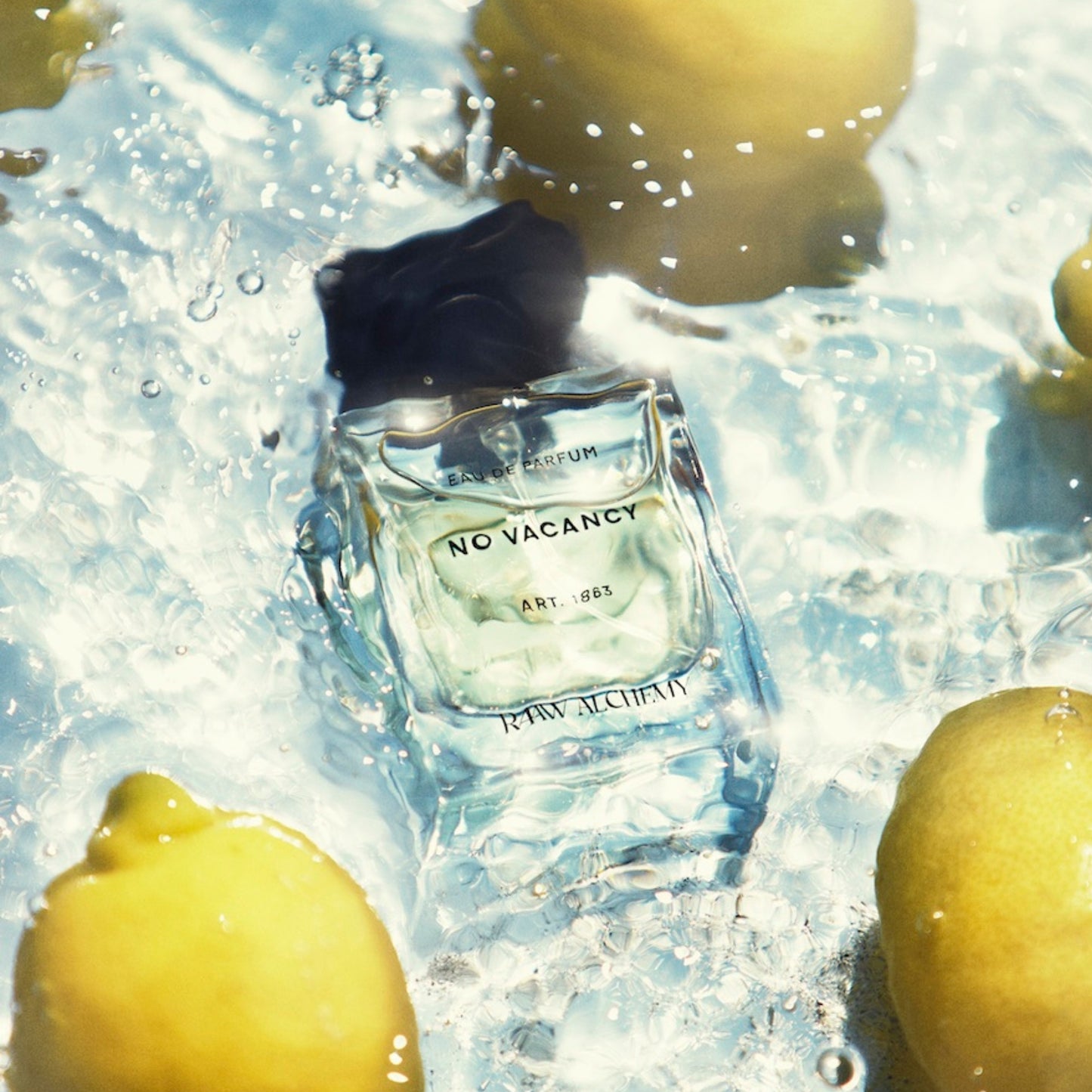 RAAW ALCHEMY No Vacancy