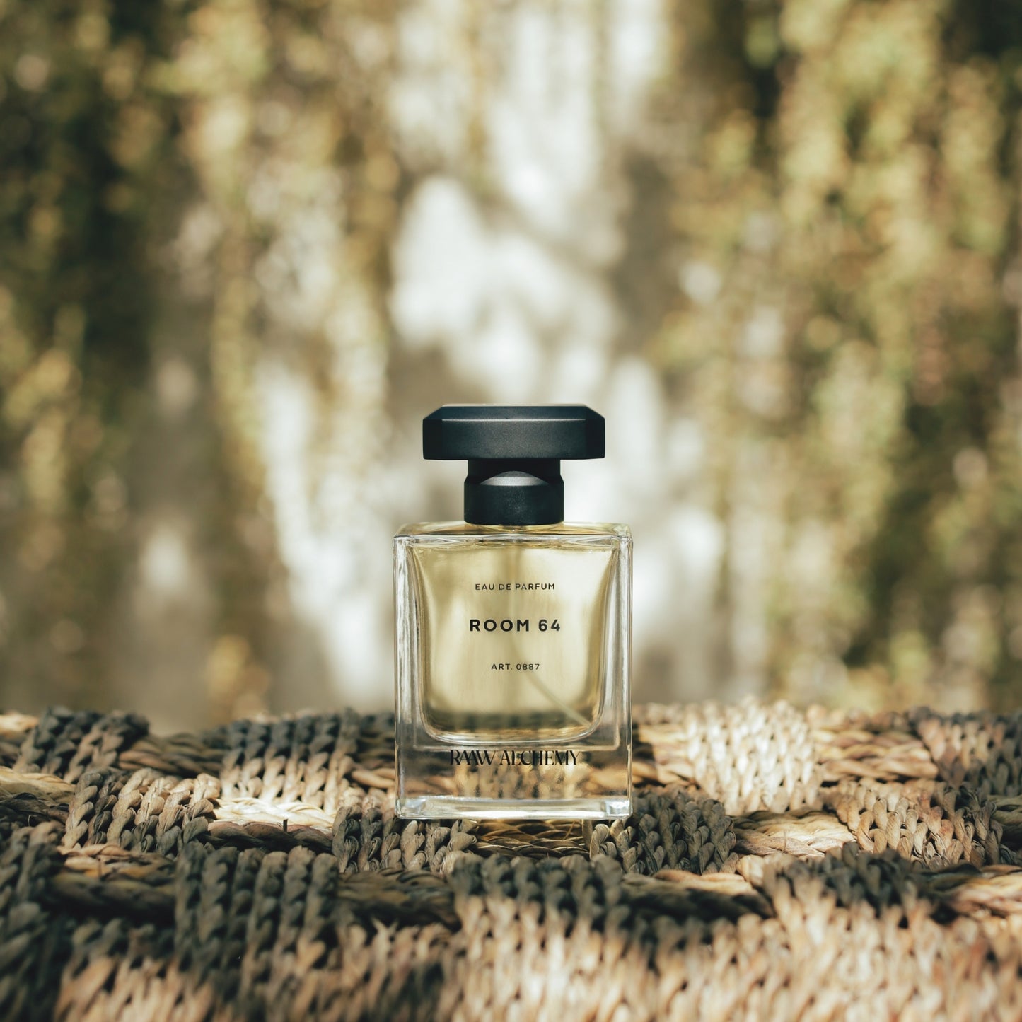 RAAW ALCHEMY Room 64